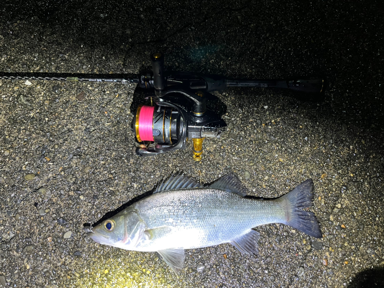 SHIMANO 21ソアレXR S54SUL-Sの最安値・インプレ・釣果 | 本音の SHIMANO 21ソアレXR S54SUL-Sの最安値・インプレ・釣果 | 本音の