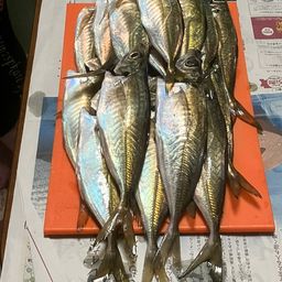 アジ