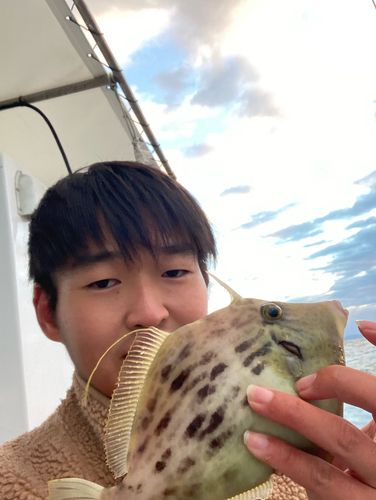 カワハギの釣果