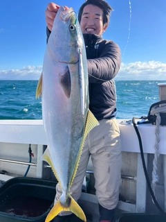 ブリの釣果