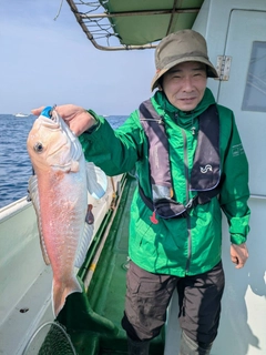 アマダイの釣果