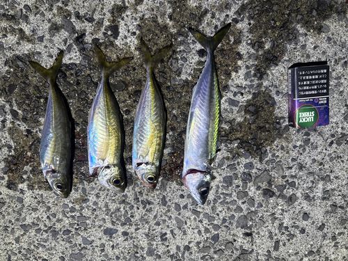 釣果
