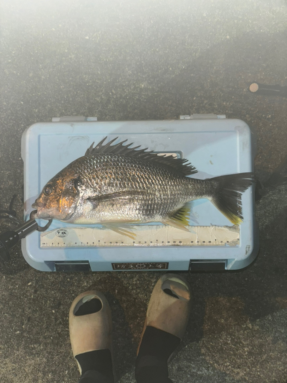 AbuGarcia ソルティースタイルアジング STAS-632MLS-KRの最安値