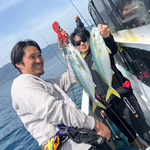 ハマチの釣果