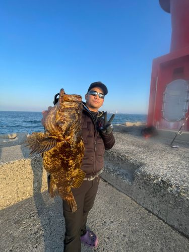 タケノコメバルの釣果