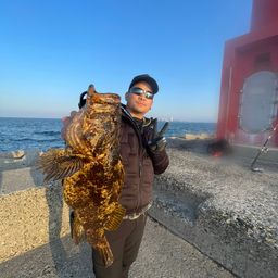 タケノコメバル