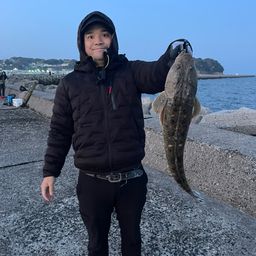 マゴチ