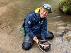 ヤマメの釣果