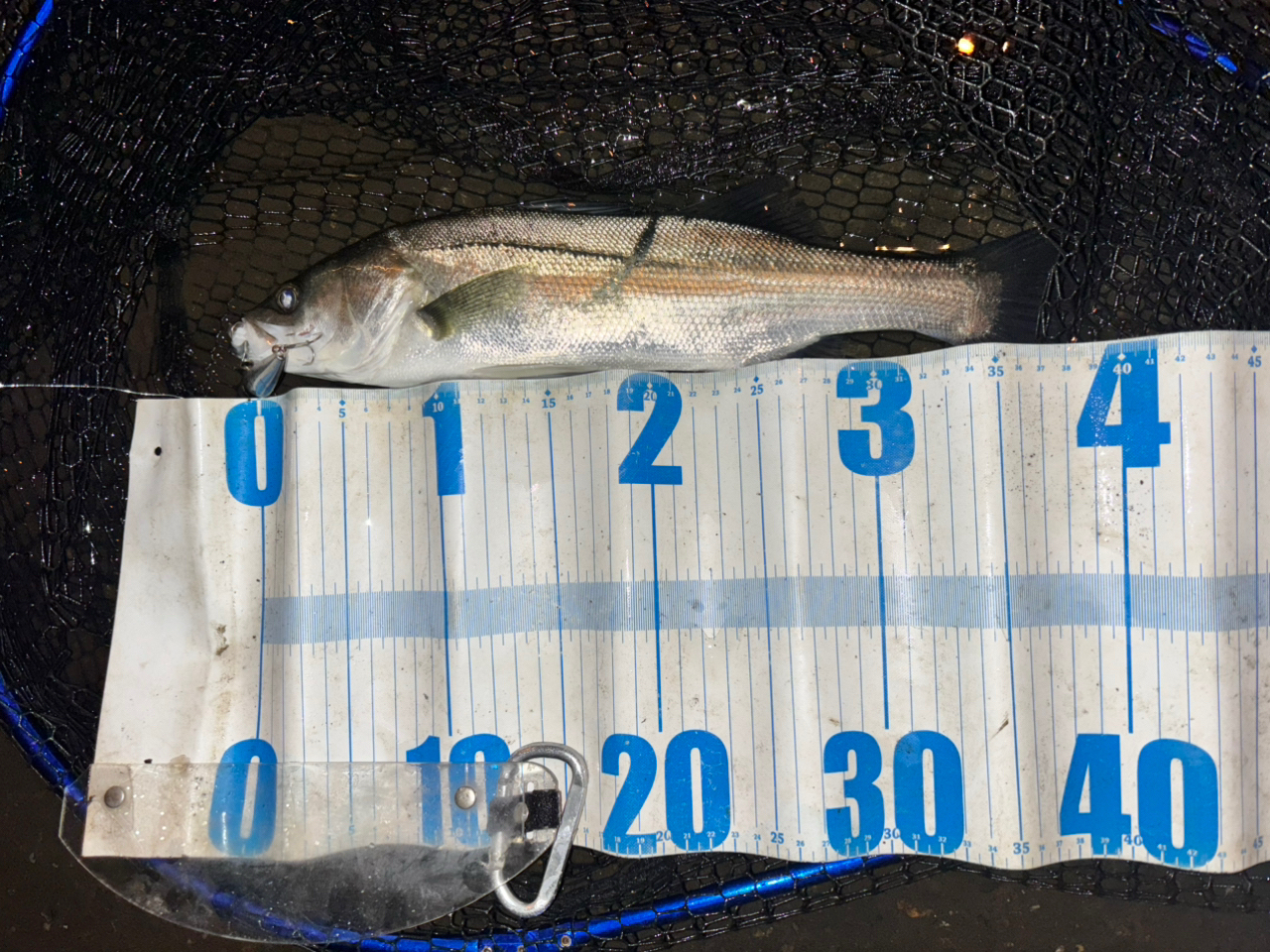 SHIMANO 22サハラ C3000HGの最安値・インプレ・釣果 | 本音の