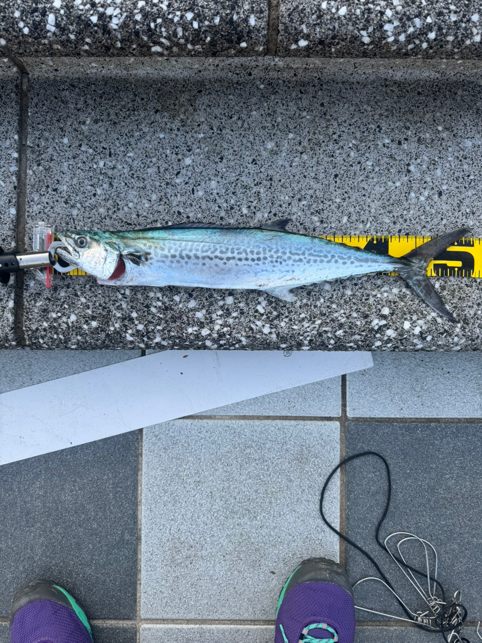 SHIMANO 19コルトスナイパー SS S96MHの最安値・インプレ・釣果