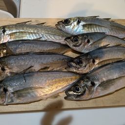 アジ