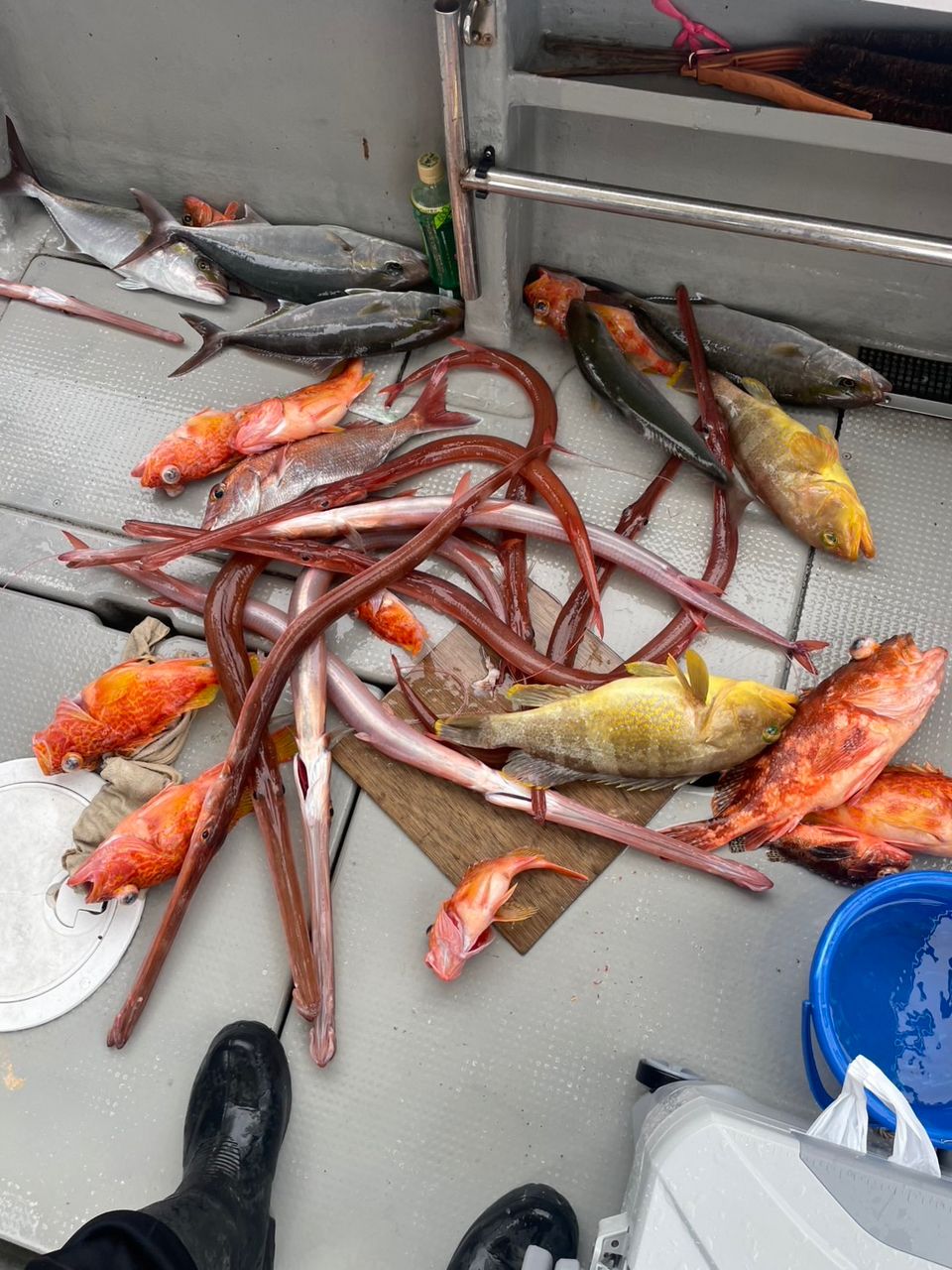 田畑良朗@なつき丸さんの釣果 3枚目の画像