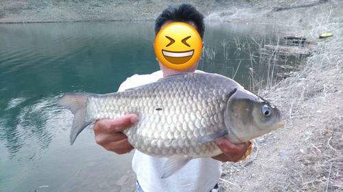 ヘラブナの釣果