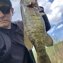 スモールマウスバス