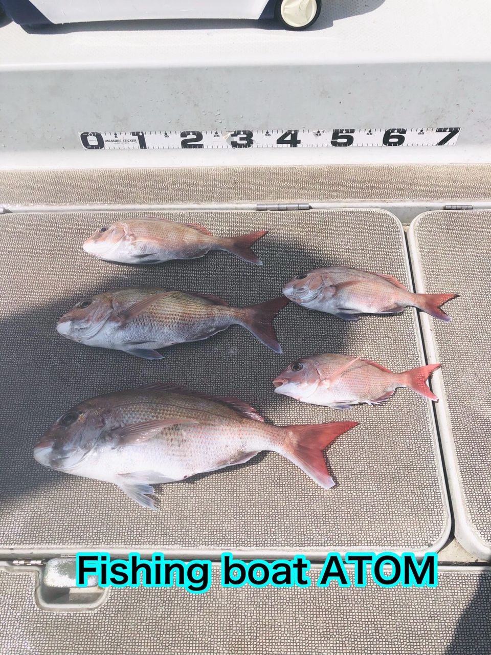 fishingboat.atomさんの釣果 3枚目の画像