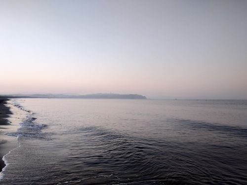 シタビラメの釣果