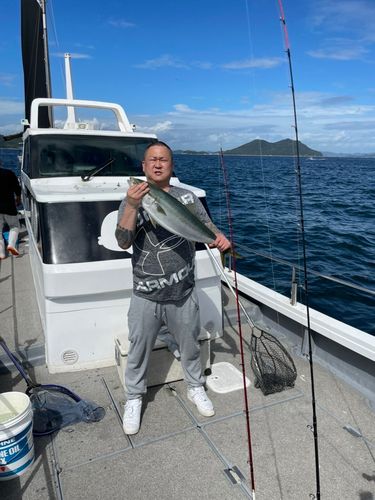 ブリの釣果