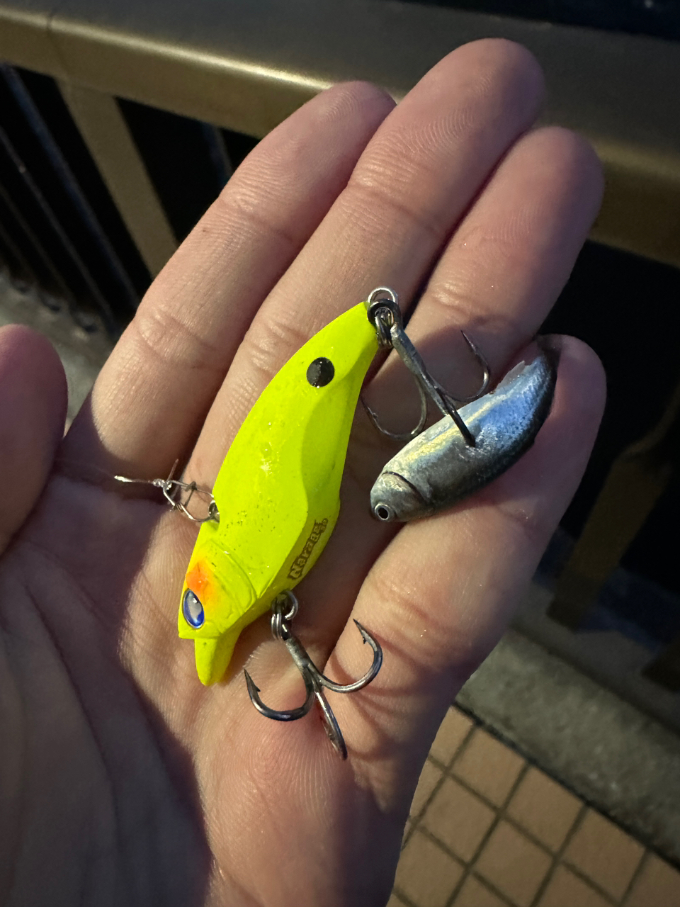 SHIMANO 23ディアルーナ S96MLの最安値・インプレ・釣果 | 本音