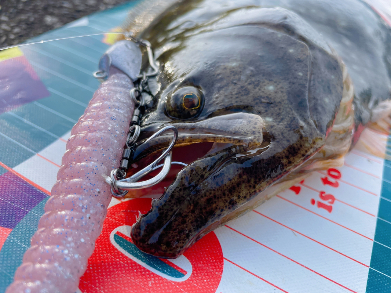 DAIWA 21オーバーゼア グランデ(サーフモデル) 911M/MHの最 DAIWA 21オーバーゼア グランデ(サーフモデル) 911M/MHの最
