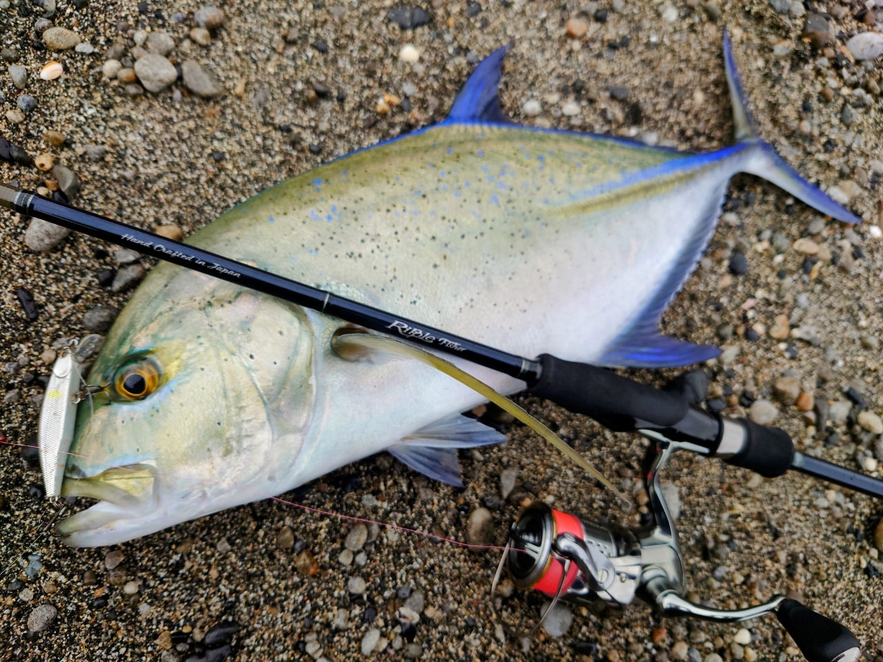 Ripple Fisher リアルクレセント RC-75の最安値・インプレ・釣果 Ripple Fisher リアルクレセント RC-75の最安値・インプレ・釣果