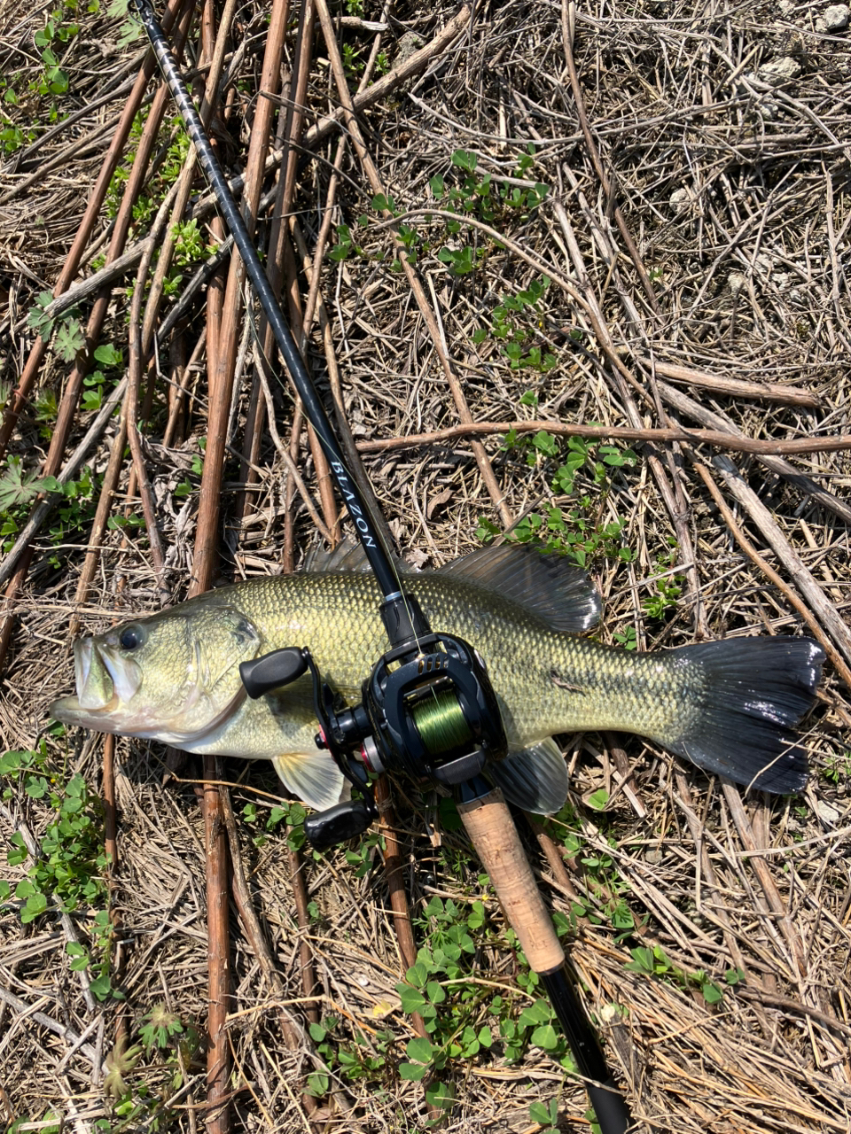 DAIWA（釣り） ダイワ バスロッド ブレイゾン C610M-2 21年