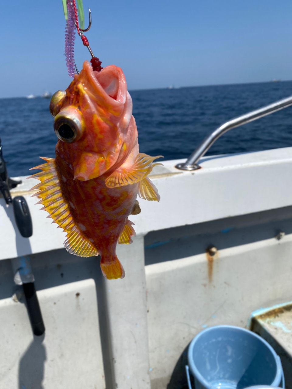 釣るとは言ってないさんの釣果 1枚目の画像