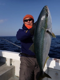 ブリの釣果