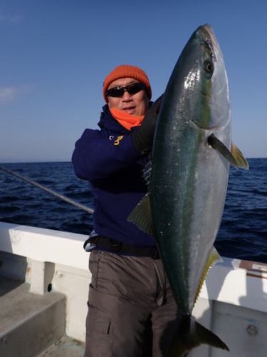 ブリの釣果