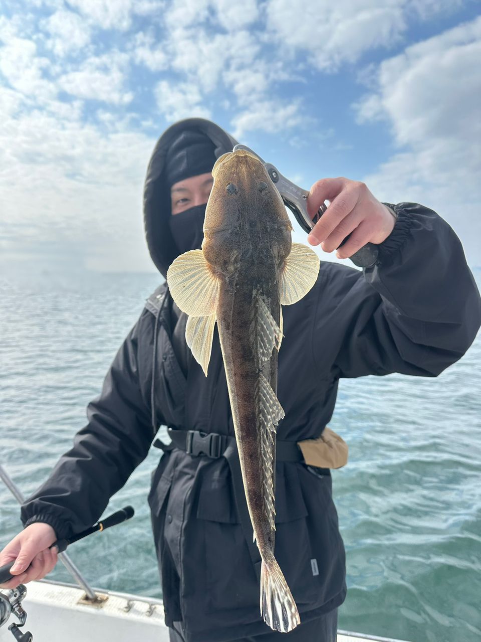 Ryo Kさんの釣果 2枚目の画像