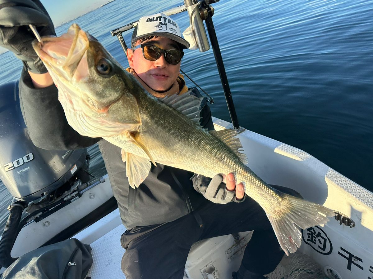 Ryo Kさんの釣果 2枚目の画像