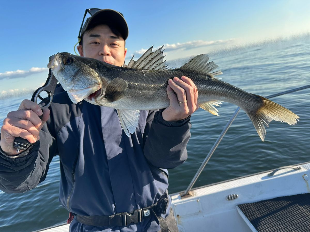 Ryo Kさんの釣果 2枚目の画像