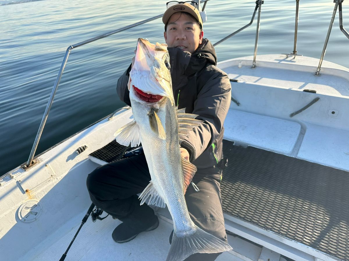 Ryo Kさんの釣果 3枚目の画像