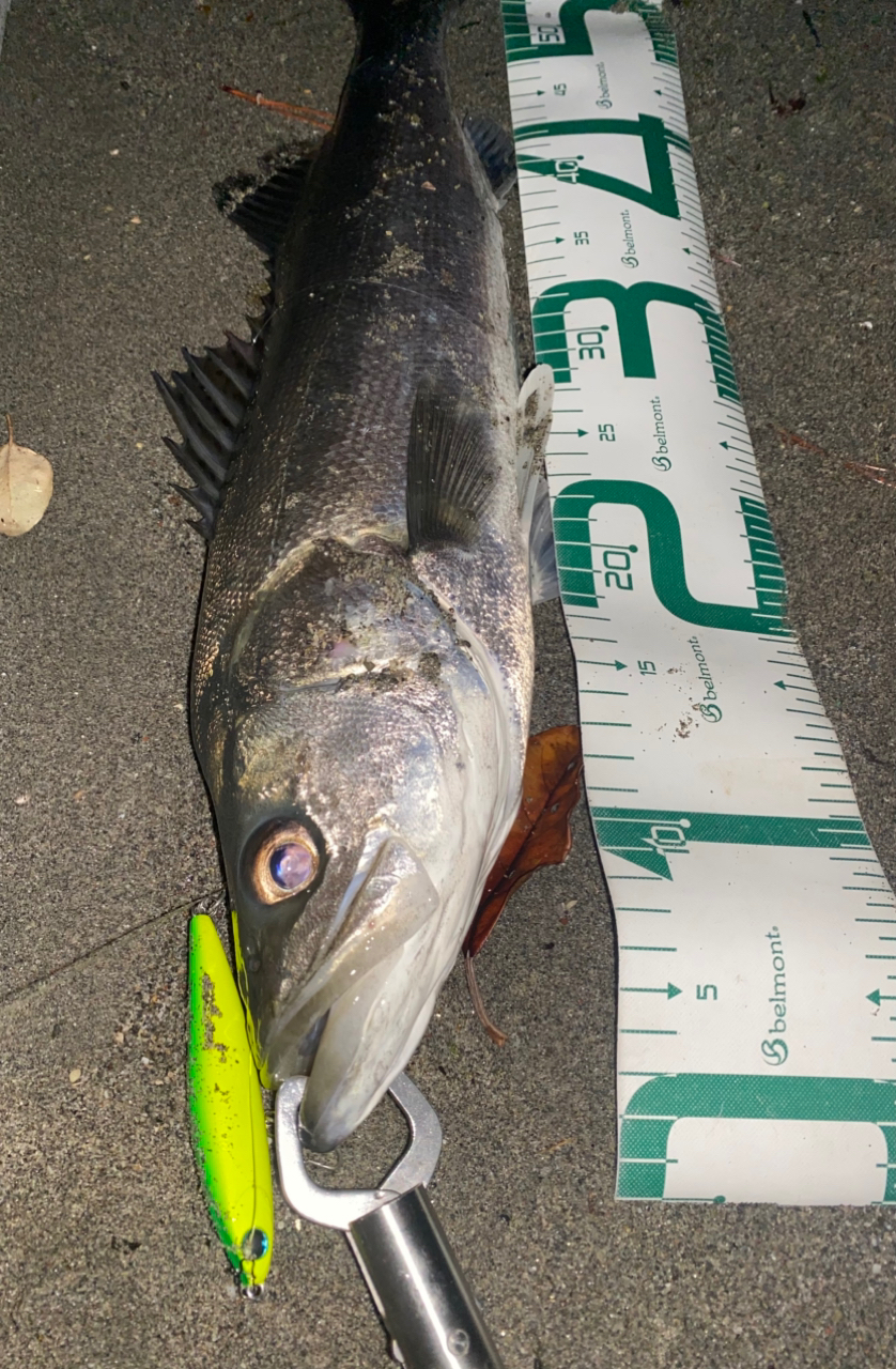 SHIMANO 18エクスセンスジェノス S97MH/Fの最安値・インプレ