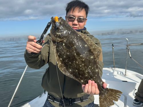 ヒラメの釣果