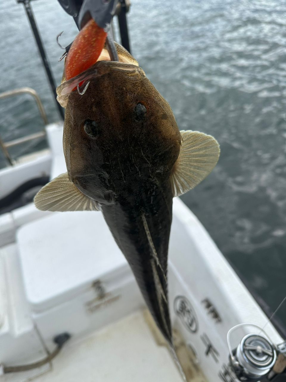 Ryo Kさんの釣果 3枚目の画像