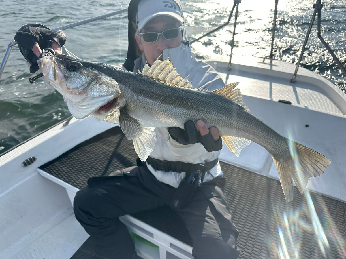 Ryo Kさんの釣果 2枚目の画像