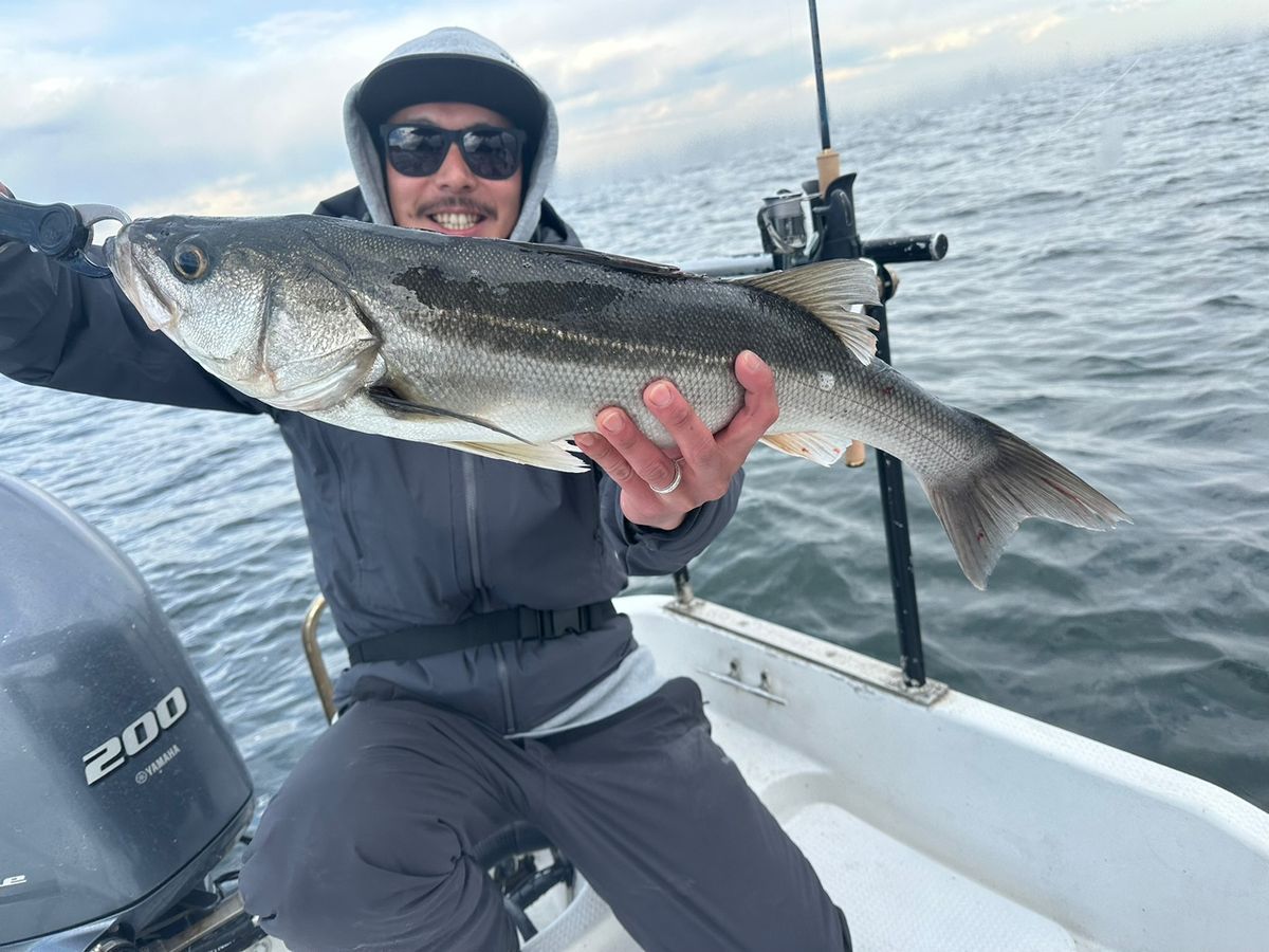 Ryo Kさんの釣果 3枚目の画像