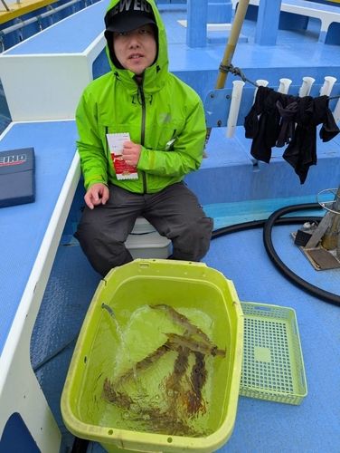 ヤリイカの釣果