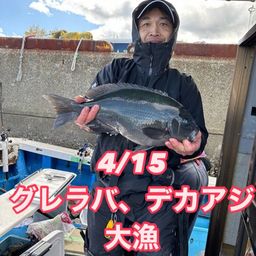 グレ