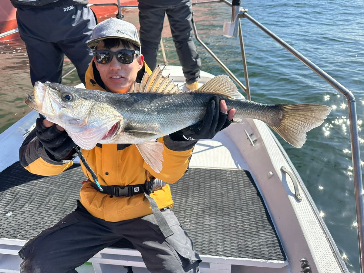 Ryo Kさんの釣果 2枚目の画像