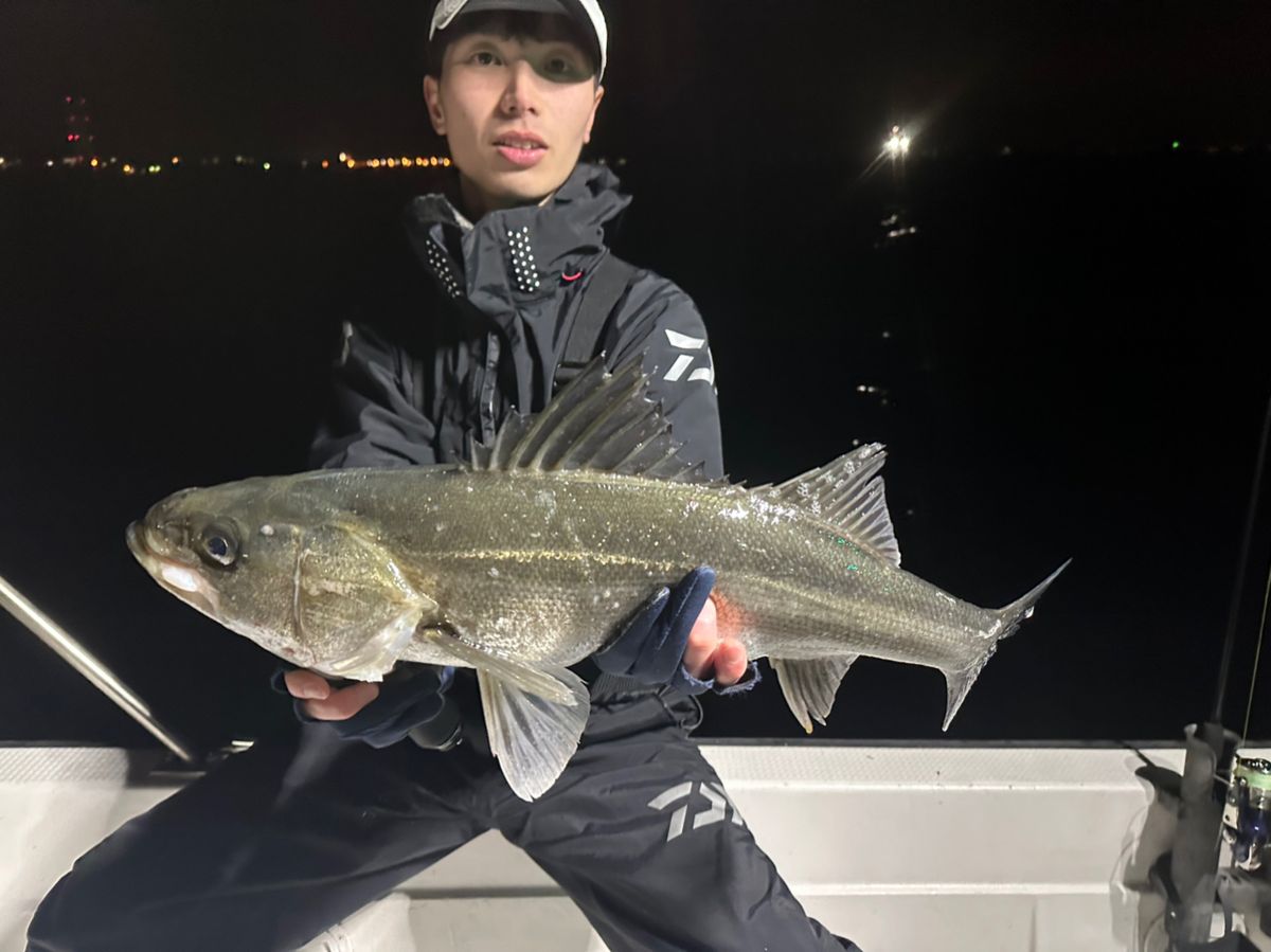 Ryo Kさんの釣果 2枚目の画像