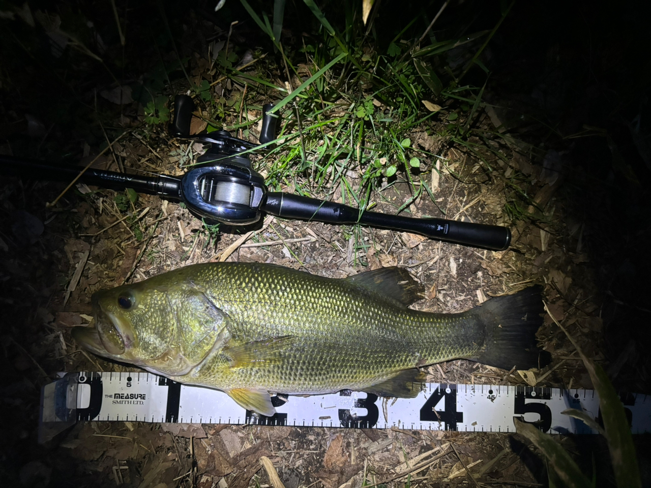 SHIMANO 18ポイズン アドレナ 173MH-2の最安値・インプレ・釣果