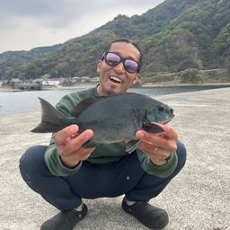 メジナ