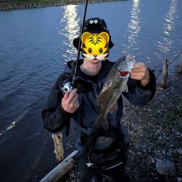 ラージマウスバス
