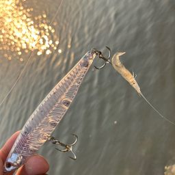 エビ
