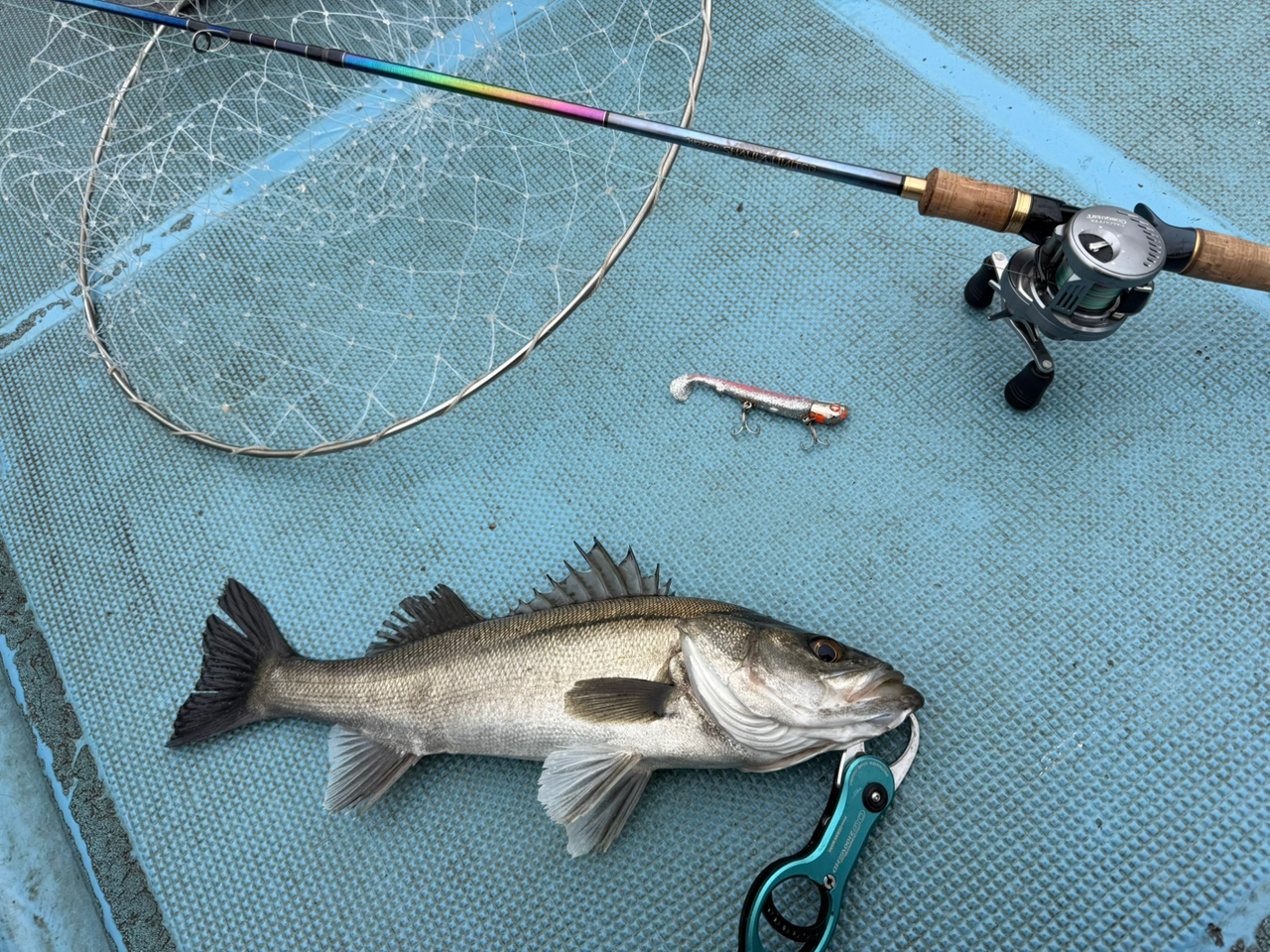 SHIMANO 23ワールドシャウラ リミテッド 1652R-3の最安値