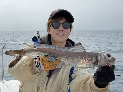 ギスの釣果