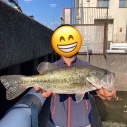 ラージマウスバス