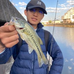 ラージマウスバス