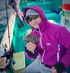 カワハギの釣果